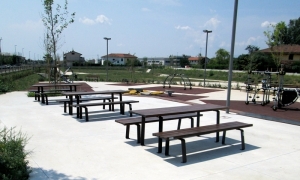 ZetaPicNic