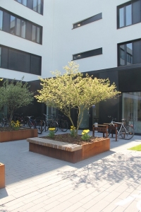 Mannheim